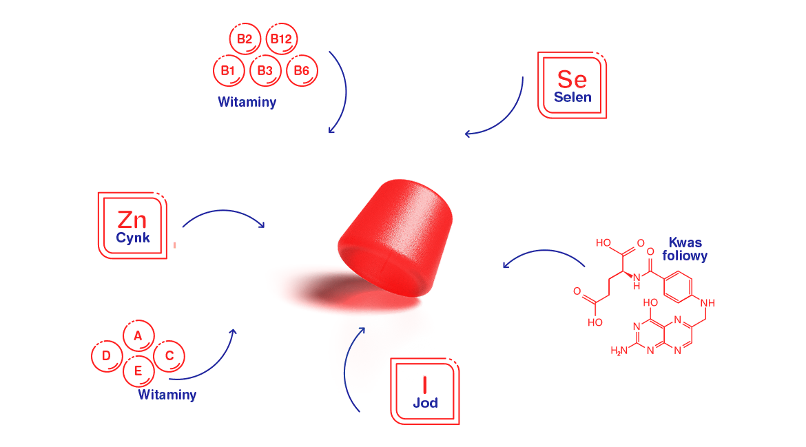 All-Vitum Kids żelki 30 szt. all-vitum_kids_sklad