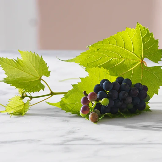 Active Legs Żyły i naczynia krwionośne, 30 tabletek