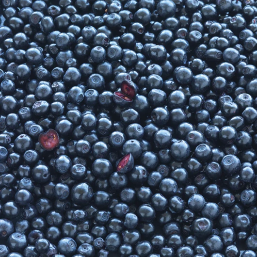 Blue Berry Plus, 60 tabletek