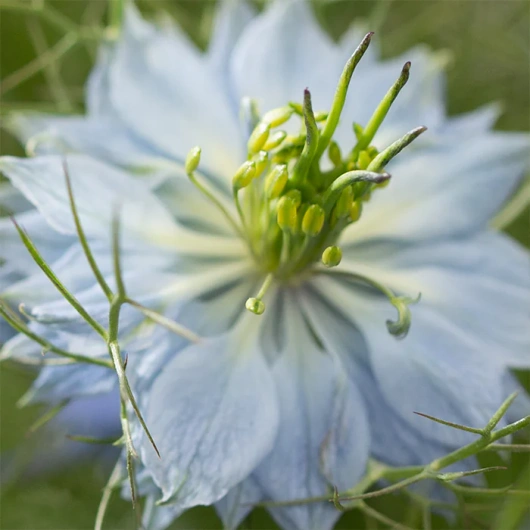 Fat Burner Metabolizm tłuszczu, 60 tabletek