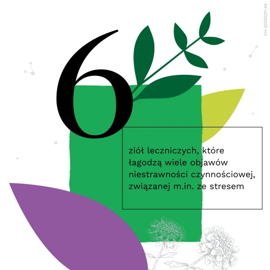 Iberogast Balance, 100 ml