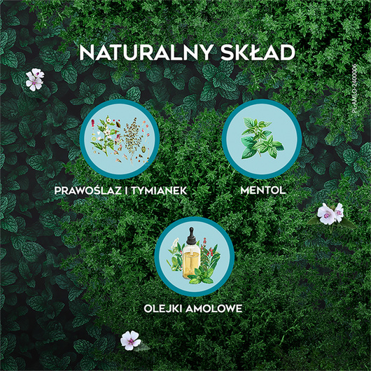 AMOLOWE NA GARDŁO, 16 pastylek do ssania