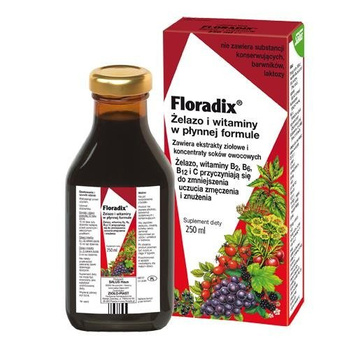 FLORADIX ŻELAZO I WITAMINY tonik 250 ml