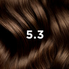5.3