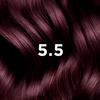 5.5