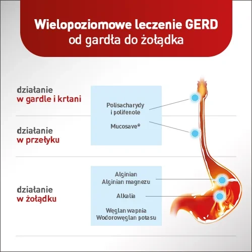 Mucoref Alugastrin, 14 saszetek x 15 ml