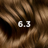 6.3