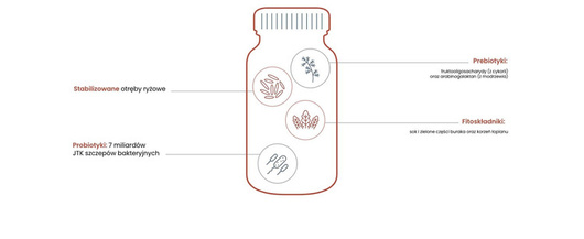 TERRANOVA Probiotyki Prebiotyki Fitoskładniki kapsułki, 50 sztuk