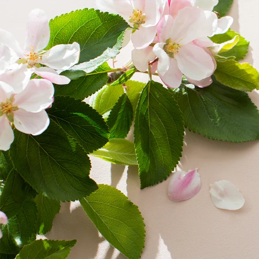 Hair Volume Rocznicowe opakowanie, 90 tabletek + 15 gratis