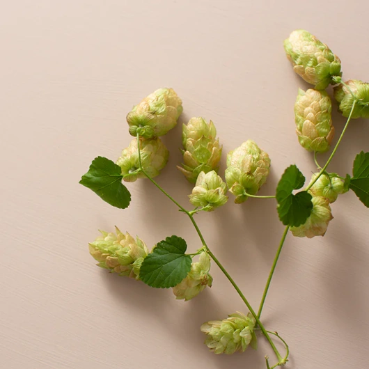 Zuccarin, 120 tabletek