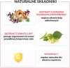 Pelavo Multi 3+ przeziębienie/grypa 120ml