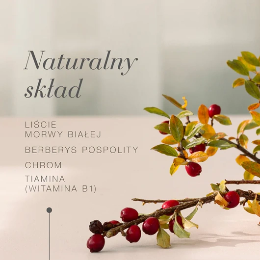 Zuccarin Cholesterol, 60 tabletek