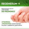 Regenerum Regeneracyjne serum utwardzające do paznokci, 8 ml