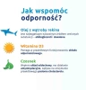 Iskial Immuno Max + Czosnek, 120 sztuk 