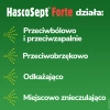 HASCOSEPT FORTE 3 mg/g aerozol 30 ml