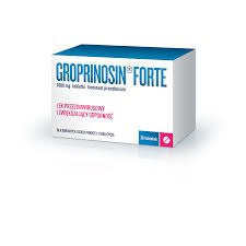 Groprinosin Forte 1000mg,  30 tabletek