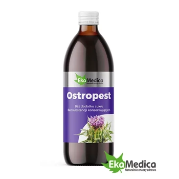 Ostropest suplement diety płyn, 500ml